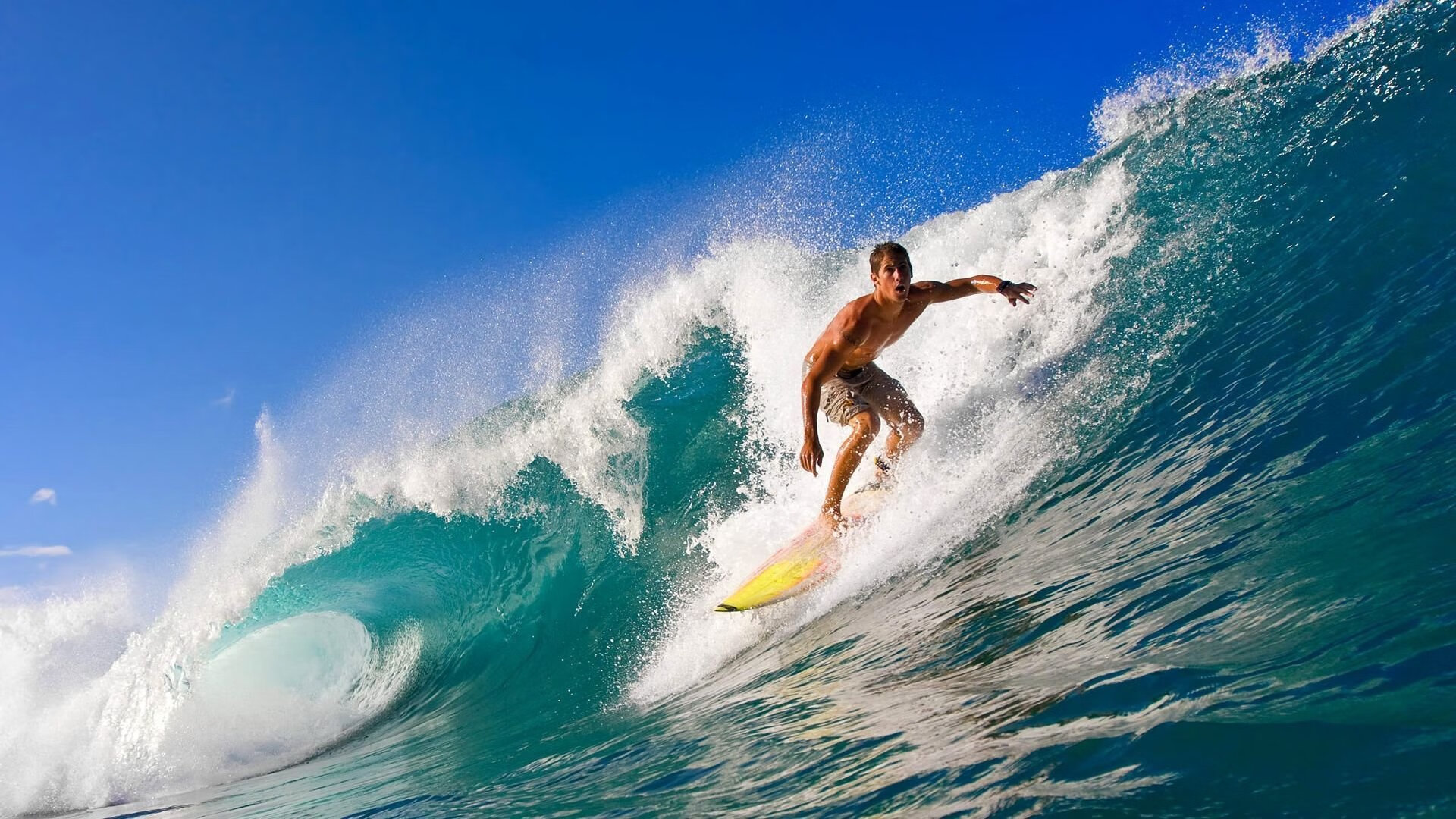 公牛组织球员视频学习经典比赛片段，公牛的球队